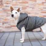Mix zimní bunda pro psa Barva: Šedá
