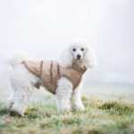 Warm zimní bunda pro psa s kožichem Barva: Béžová