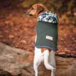 Bona bunda pro psa s maskáčovou kapucí Barva: Zelená