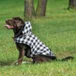 Max zimní károvaná bunda pro psa Barva: Černo-bílá