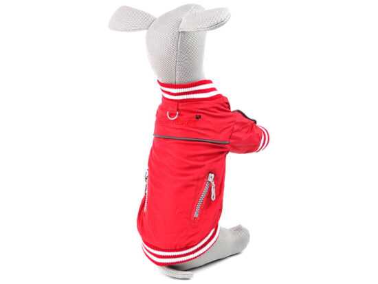 Springy podzimní bunda pro psa Barva: Červená