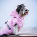 Sandy růžová měkoučká mikina pro psa Délka zad (cm): 40