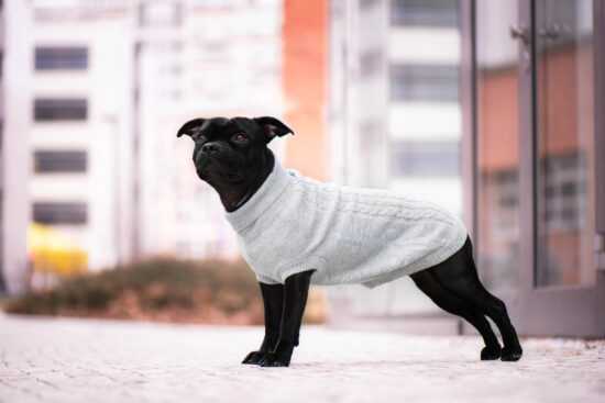Rixi svetr pro psa Barva: Šedá