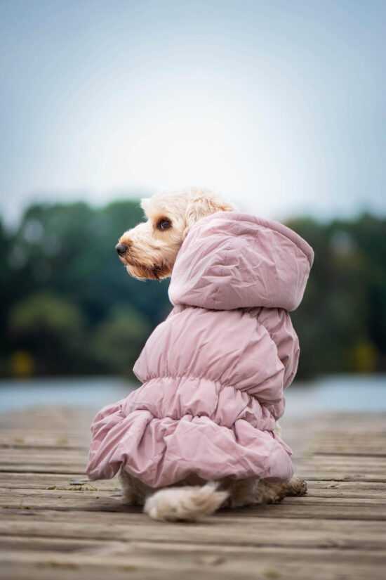 Aida zimní bunda pro psa Barva: Růžová