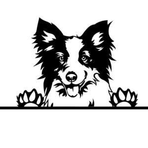 Border kolie dřevěná dekorace na zeď Rozměr (cm): 35 x 18