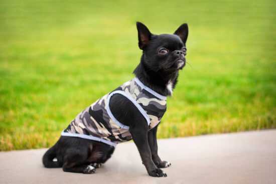 Yoko maskáčové tričko pro psa Barva: Šedá