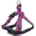 Rais fialovo-červený obojek