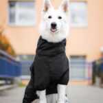 Tais bunda pro psa na zip s reflexními prvky Barva: Černá