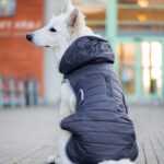 Yogi zimní bunda pro psa Barva: Šedá