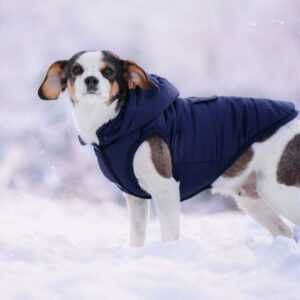 Fala zimní bunda s kapucí pro psa Barva: Modrá