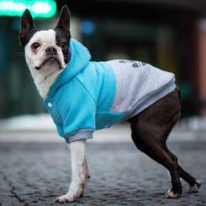 Chimena sportovní zateplená mikina pro psa Barva: Modro-šedá