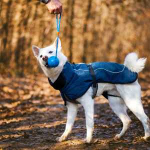 Maka zimní bunda pro psa Barva: Modrá