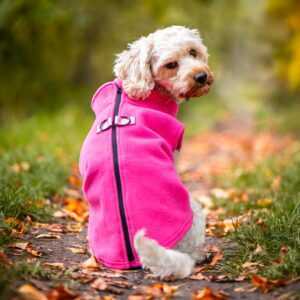 Lonato fleecová mikina pro psa na ZIP Barva: Růžová