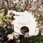 Kiko krokodýlí domeček pro hlodavce