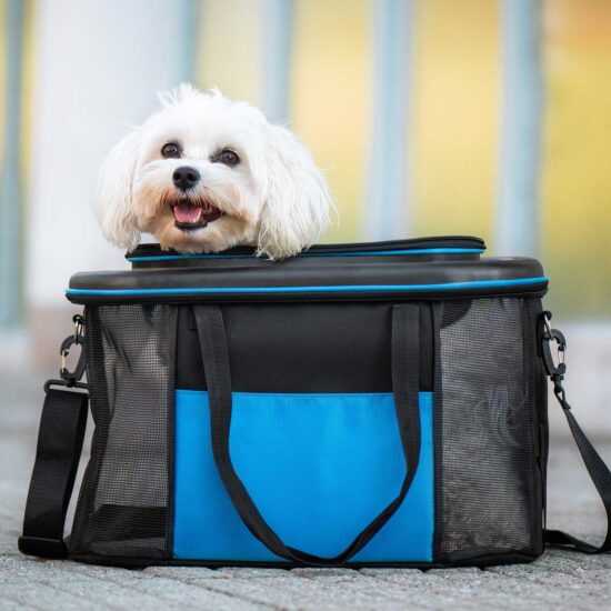 Zaro cestovní taška pro psa | do 6 Kg
