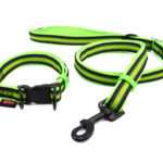 Cubo obojek pro psa s vodítkem | 32 – 56 cm Barva: Zelená