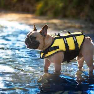 Flob plovací vesta pro psa Délka zad (cm): 22