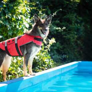 Flava plovací vesta pro psa Barva: Červená