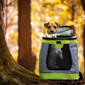 Path sportovní batoh pro psa | do 6 Kg Barva: Zelená