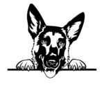 Belgický ovčák dřevěná dekorace na zeď Rozměr (cm): 35 x 29