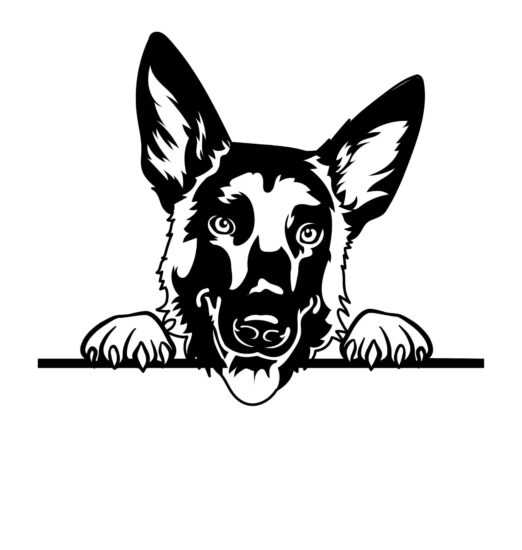 Belgický ovčák dřevěná dekorace na zeď Rozměr (cm): 35 x 29 Belgický ovčák dřevěná dekorace na zeď Rozměr (cm): 35 x 29