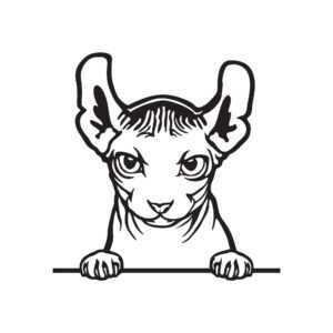 Dwelf kočka dřevěná dekorace na zeď Rozměr (cm): 40 x 40