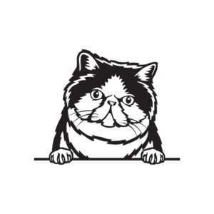 Exotická krátkosrstá kočka dřevěná dekorace na zeď Rozměr (cm): 40 x 31