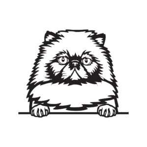 Himalájská kočka dřevěná dekorace na zeď 2 Rozměr (cm): 38 x 30