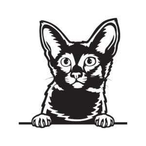 Javánská kočka dřevěná dekorace na zeď Rozměr (cm): 38 x 37