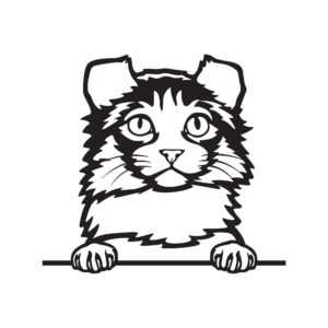 Kinkalow kočka dřevěná dekorace na zeď Rozměr (cm): 38 x 34