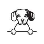 Jack Russell 2 dřevěná dekorace na zeď Rozměr (cm): 38 x 33