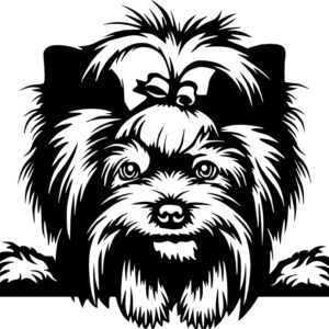 Jorkšírský teriér 6 dřevěná dekorace na zeď Rozměr (cm): 40 x 26