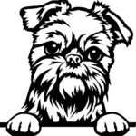 Bruselský grifonek 3 dřevěná dekorace na zeď Rozměr (cm): 40 x 38