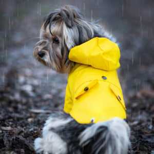 Riska pláštěnka pro psa Barva: Žlutá