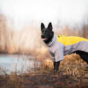 Plex zimní bunda pro psa Barva: Žlutá