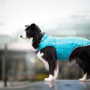 Sonda oboustranná bunda pro psa Barva: Růžová