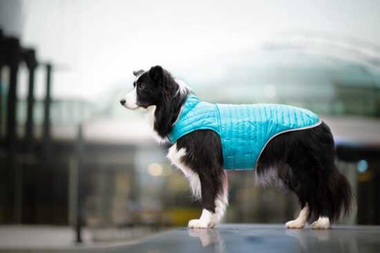 Sonda oboustranná bunda pro psa Barva: Růžová Sonda oboustranná bunda pro psa Barva: Růžová