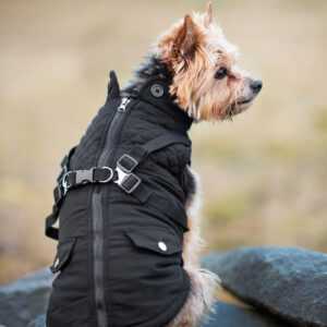 Tulsi zimní bunda pro psa s postrojem Barva: Černá