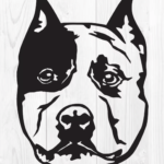 Pitbull 5 dřevěná dekorace na zeď Rozměr (cm): 38 x 28