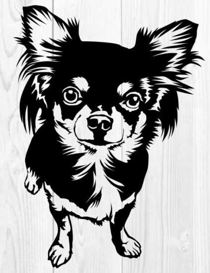 Čivava 11 dřevěná dekorace na zeď Rozměr (cm): 38 x 28 Čivava 11 dřevěná dekorace na zeď Rozměr (cm): 38 x 28