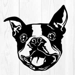 Bostonský teriér 2 dřevěná dekorace na zeď Rozměr (cm): 38 x 37