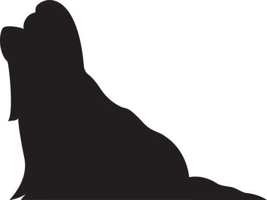 Shih-tzu 2 dřevěná dekorace na zeď Rozměr (cm): 26 x 38 Shih-tzu 2 dřevěná dekorace na zeď Rozměr (cm): 26 x 38