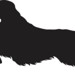 Anglický špringeršpaněl dřevěná dekorace na zeď Rozměr (cm): 16 x 38