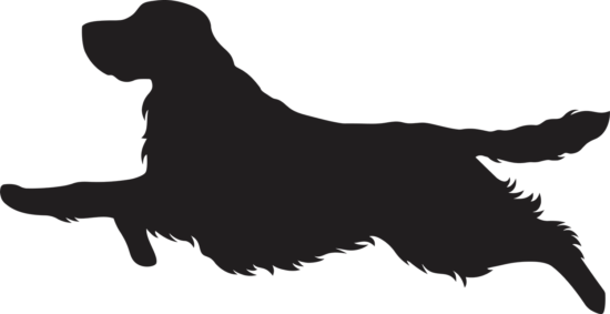 Anglický špringeršpaněl dřevěná dekorace na zeď Rozměr (cm): 16 x 38 Anglický špringeršpaněl dřevěná dekorace na zeď Rozměr (cm): 16 x 38