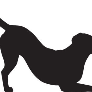 Labrador 3 dřevěná dekorace na zeď Rozměr (cm): 28 x 38