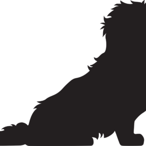 Maltézský psík 3 dřevěná dekorace na zeď Rozměr (cm): 29 x 38