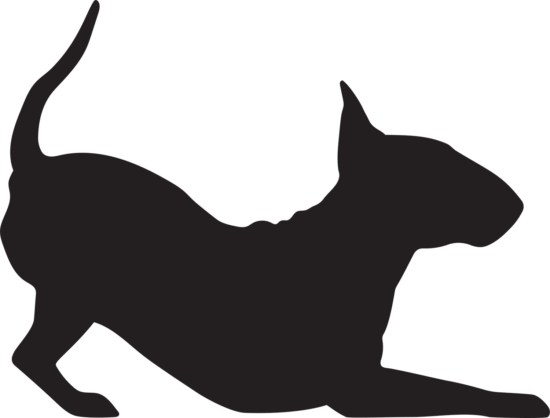 Bulteriér 5 dřevěná dekorace na zeď Rozměr (cm): 28 x 38 Bulteriér 5 dřevěná dekorace na zeď Rozměr (cm): 28 x 38