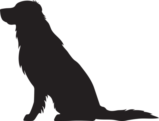 Zlatý retrívr 3 dřevěná dekorace na zeď Rozměr (cm): 29 x 38 Zlatý retrívr 3 dřevěná dekorace na zeď Rozměr (cm): 29 x 38