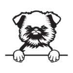 Bruselský grifonek 4 dřevěná dekorace na zeď Rozměr (cm): 38 x 32