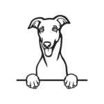 Chrt 2 dřevěná dekorace na zeď Rozměr (cm): 38 x 36